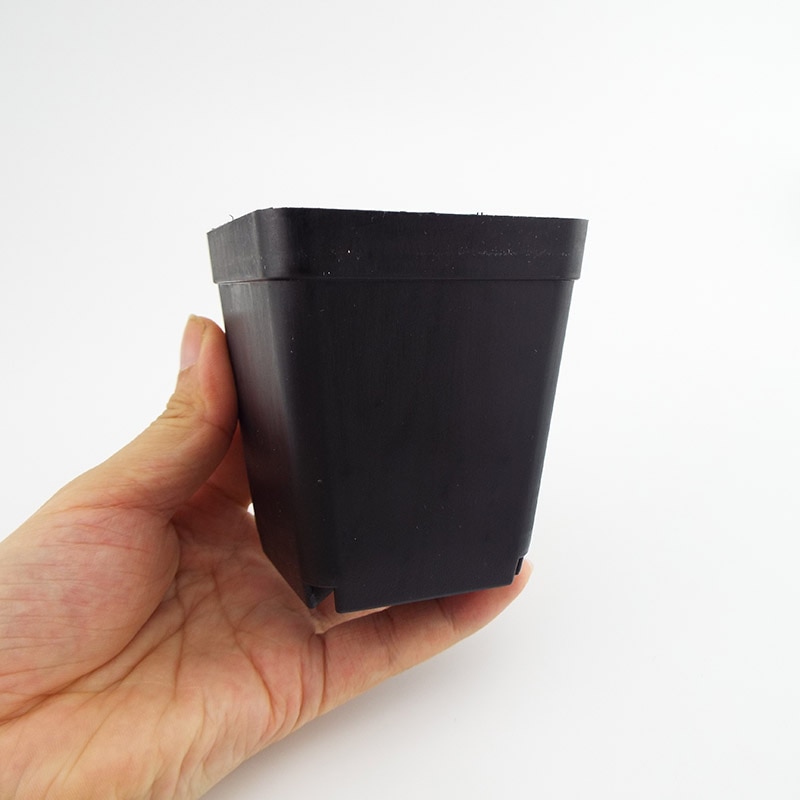 Firkantet plast mini plante blomsterpotte sort farve plantageejer pot hjemmekontor indretning saftige planteskole potte haveværktøj 20 stk /50 stk