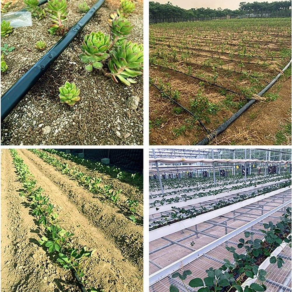 Fita de irrigação por gotejamento, 16mm, filme de gotejamento agrícola para irrigação de árvores frutíferas, micro spray, conta-gotas, 30m