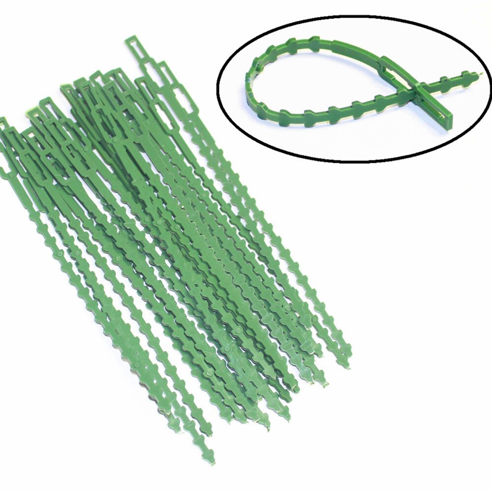 30Pcs Verstelbare Plastic Plant Kabelbinders Herbruikbare Kabelbinders Voor Tuin Boom Klimmen Ondersteuning Tuingereedschap #25