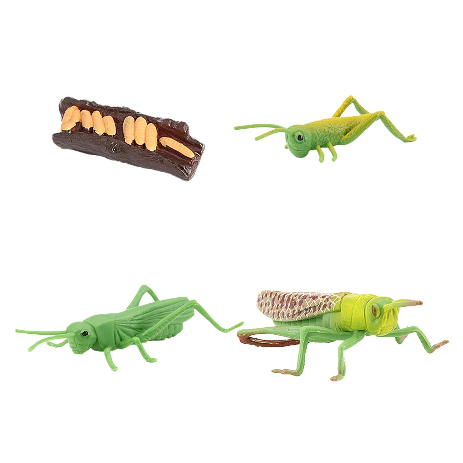 Animals Growth Cycle Life Cycle Model Set Frog Ant Mosquito Sea Turtle Simulation Model Action Figures Teaching Material: K