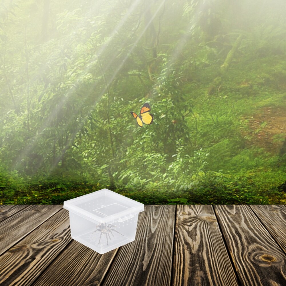 10pcs Practical Insect Feeding Box Reptile Breeding Box Convenient Creeper House