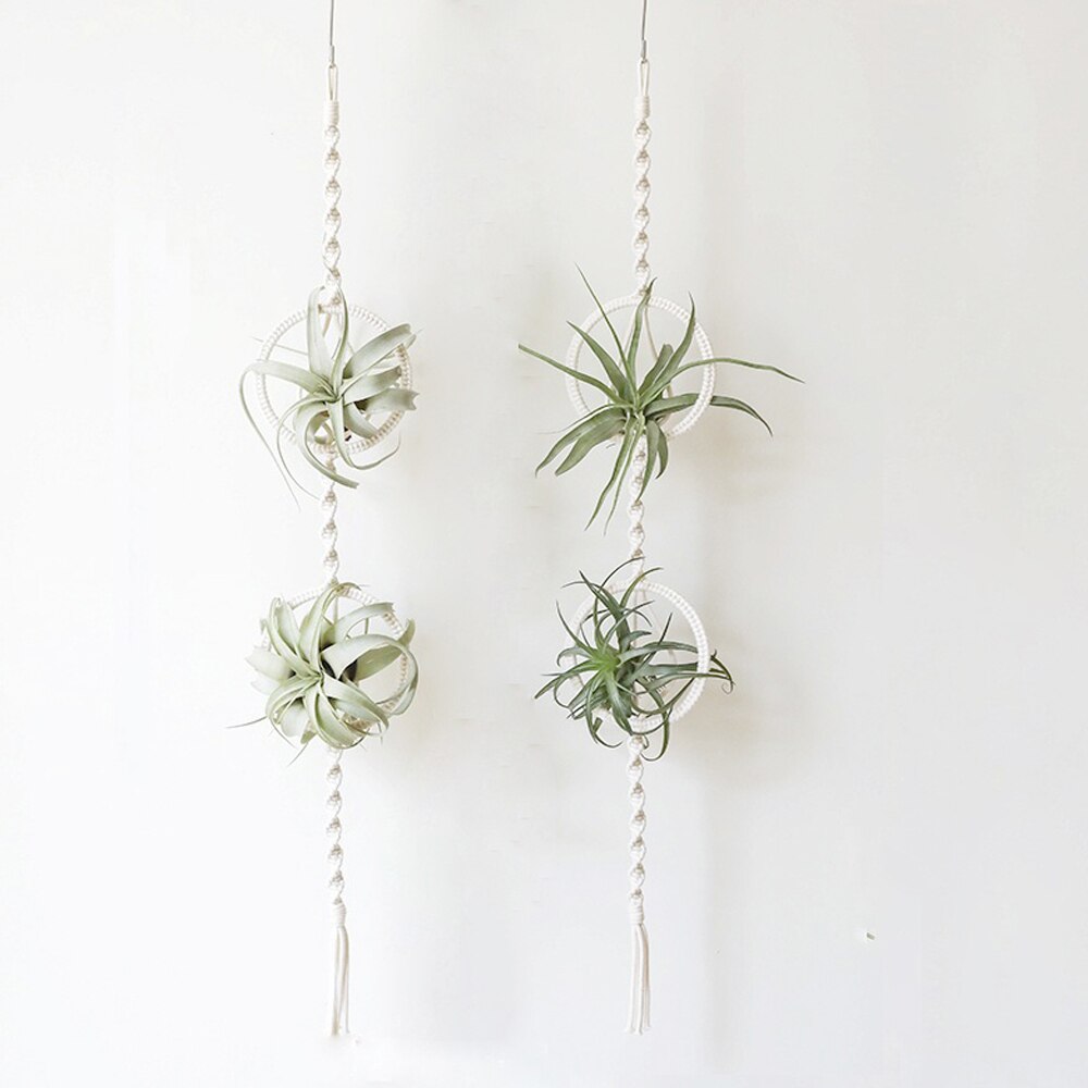 Soporte de macramé para plantas de aire, colgador para plantas de aire bonitas, Mini plantas suculentas, Tillandsia y plantas artificiales, tapiz de pared para decoración del hogar