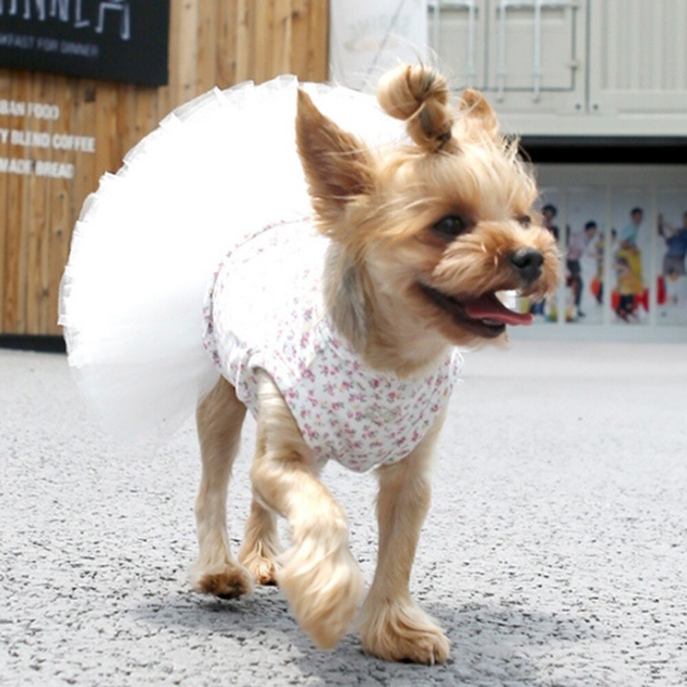 Zomer Hond Jurk Kant Tullle Pet Kleding Voor Kleine Honden Party Wedding Strik Jurken Puppy Kostuum Lente Huisdieren Kleding