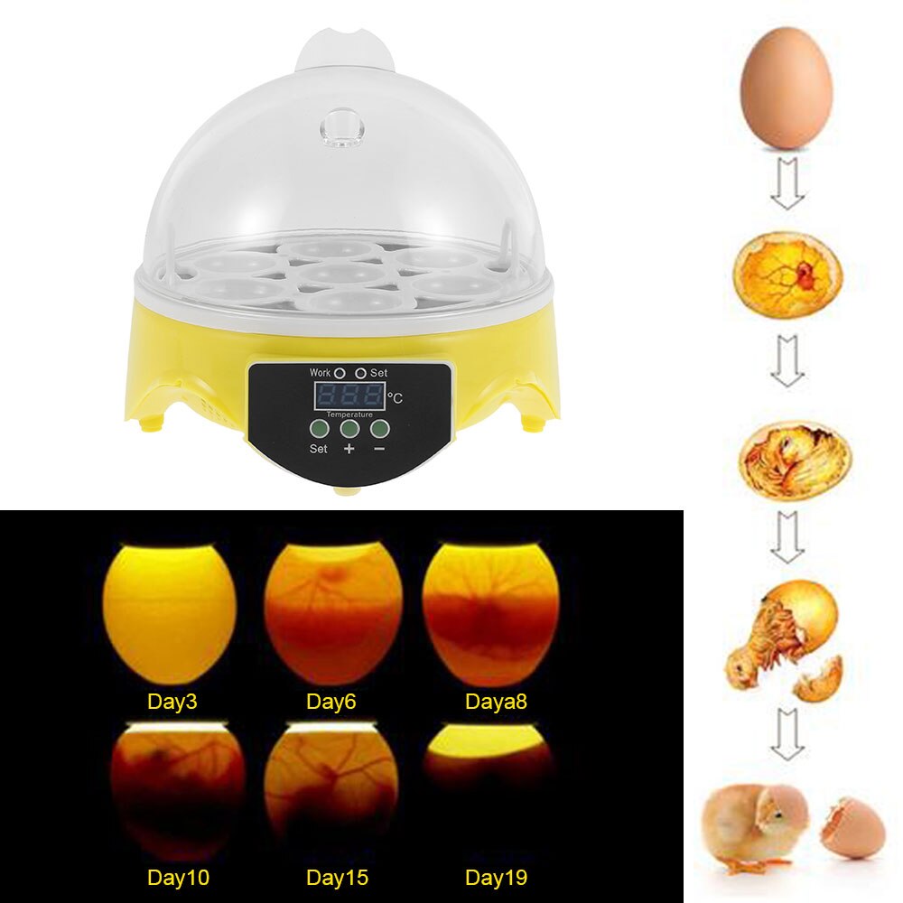 Mini 7 Egg Incubator Poultry Incubator Brooder Digital Temperature Hatchery Egg Incubator Hatcher Chicken Duck Bird Pigeon