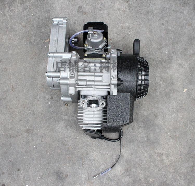 49CC two-stroke motorcycle parts engine gasoline engine gearbox for pocket bike mini scooter motorcycle