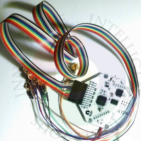 Gold-plated Disc-shaped Advanced EEG Brain Electrode Line for EEG Modules Such as OpenBCI/ThinkGear