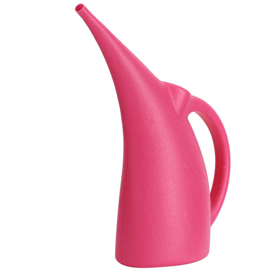 3L Gieter Is Een Lange Gieter Voor Planten Bloemen