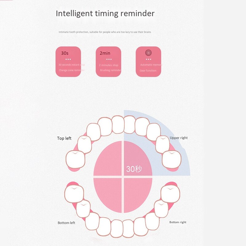 Vibration Electric Toothbrush Waterproof USB Charging Smart Timer 5-Mode Vibration Brush Replacement Head