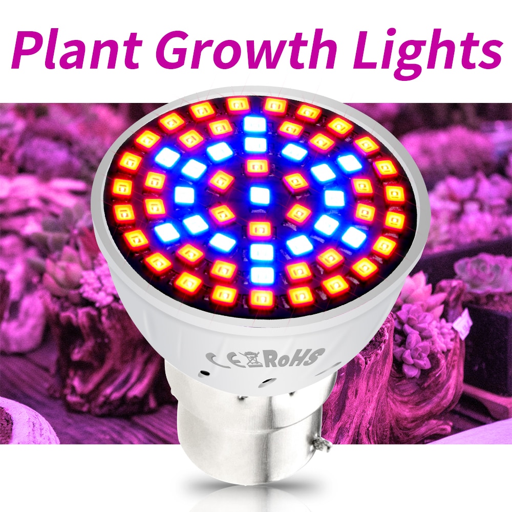 E27 LED Groeiende Lampen E14 Groeien Licht Volledige Spectrum GU10 Plant Verlichting Fitolampy GU5.3 Ampul Voor Planten Zaailing Teelt