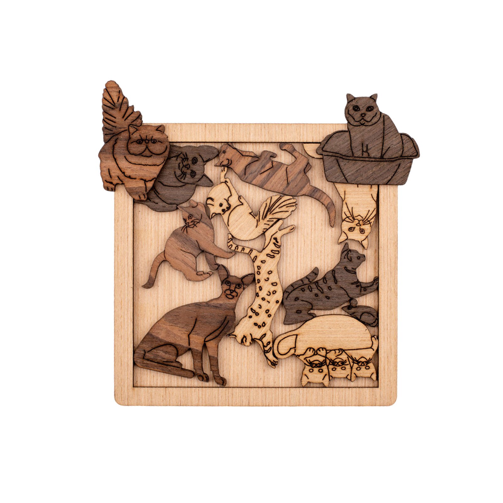 3D Houten Puzzel Brain Teaser Puzzels Unieke Vormige Houten Puzzel Speelgoed Voor Volwassenen Kids Educatief Speelgoed Voor Kinderen: Cat