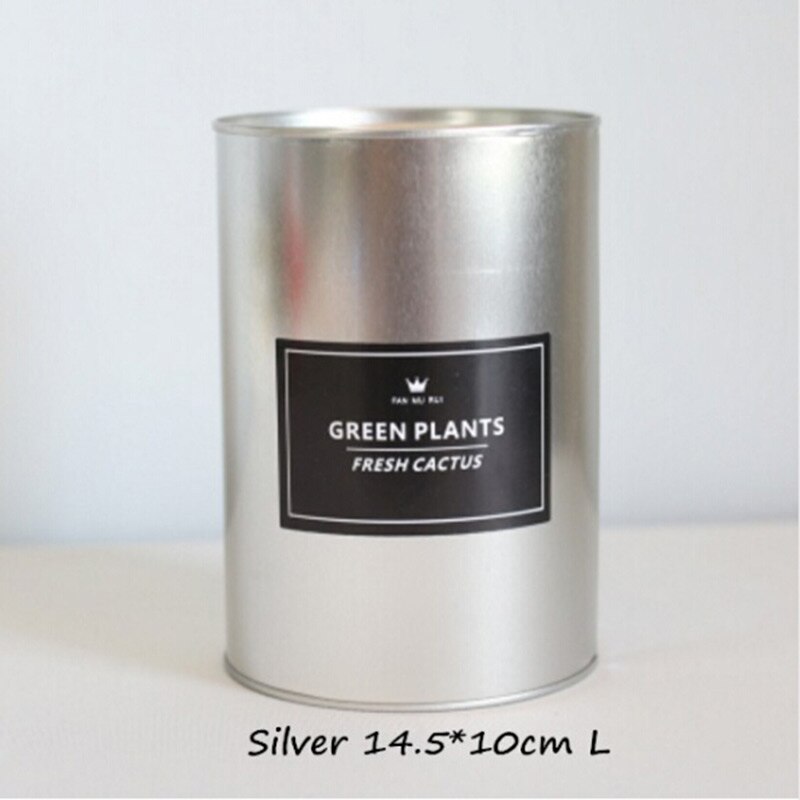 Maceta de Metal para jardín, maceta de hierro suculenta, contenedor de almacenamiento, maceta decorativa para jardín, flor Artificial, oro rosa, plata, negro, 27: Sliver 14.5CM