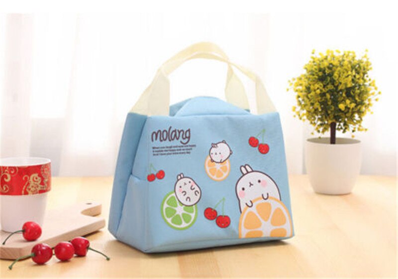 Tragbare Isolierte Thermische Kühler Bento Lunch Box Tote Picknick Lagerung Tasche Tasche