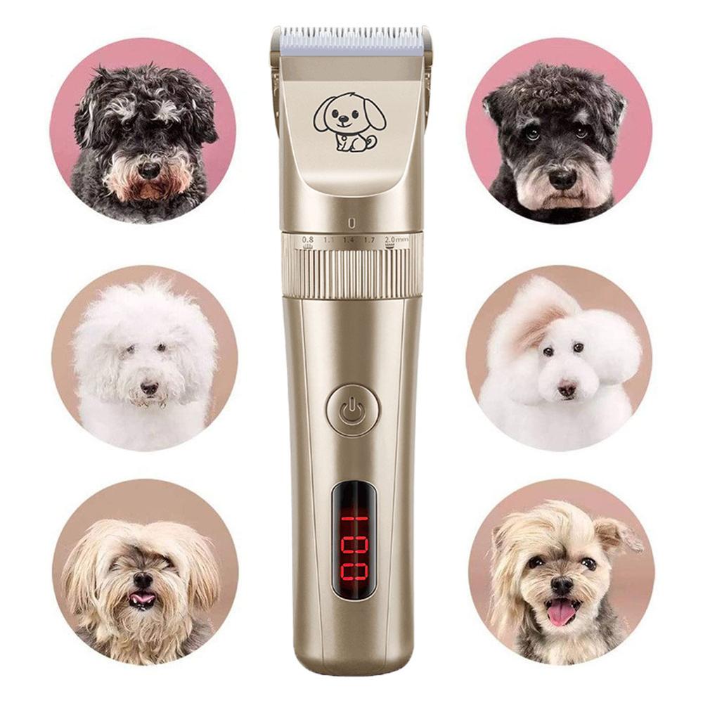 View of Patway V13 Pet Dog Grooming Clipper Haar Tool Gelu... – Grandado