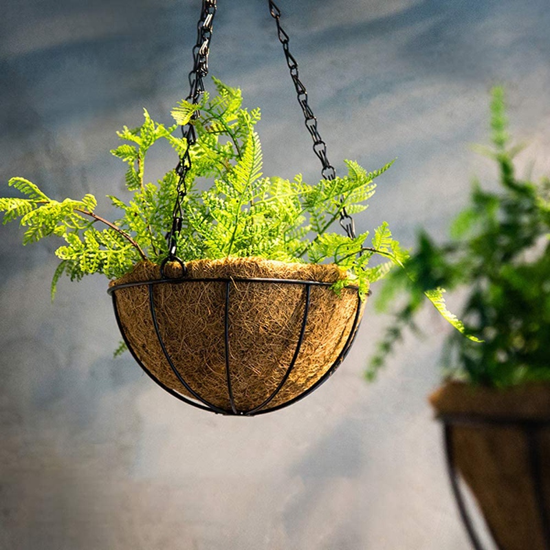 Cesta de flores colgantes de Metal, con forro de cáscara de Coco, colgante para exteriores decorativo de 10 pulgadas, 5 uds.