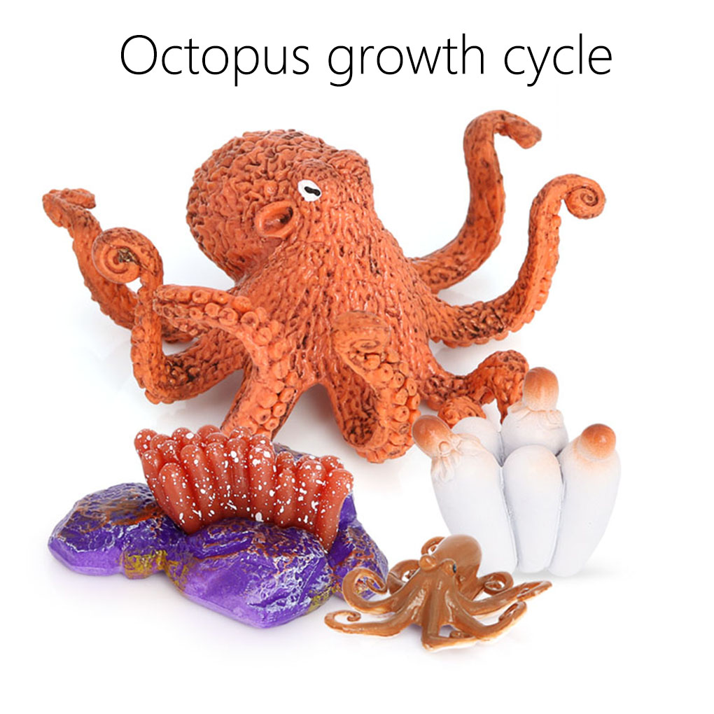 1 Set Life Cycle Kit Simulated Growing Model Early Educational Lovely Displaying Prop for Children Baby