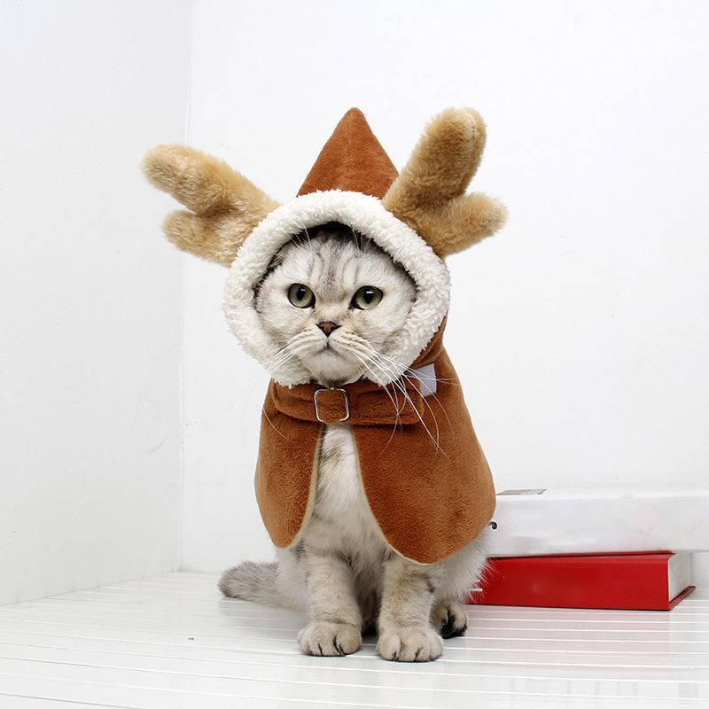 Julekat tøj hættejakke til katte sjovt forår festival kappe påklædning tøj åredragt