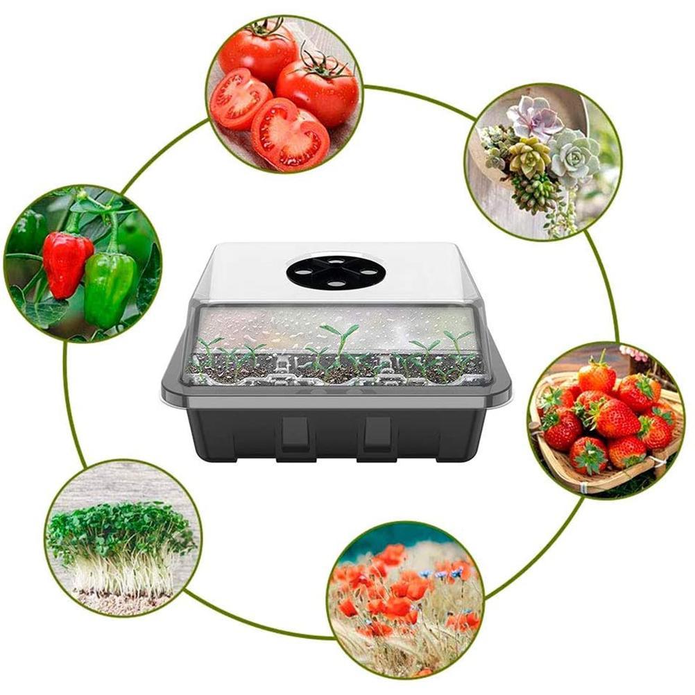 Kweekkas, 5 stuks mini broeikas, kweekset, Binnenkas, timer en instelbare helderheid Volledig spectrum zonlicht, kweekschalen met deksel en ventilatie, ideaal voor plantengroei en kieming van zaden