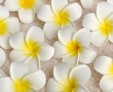 Lot de 4cm 100 de frangipanier en mousse hawaïenne, plumeria, pour décoration de bouquet de mariage