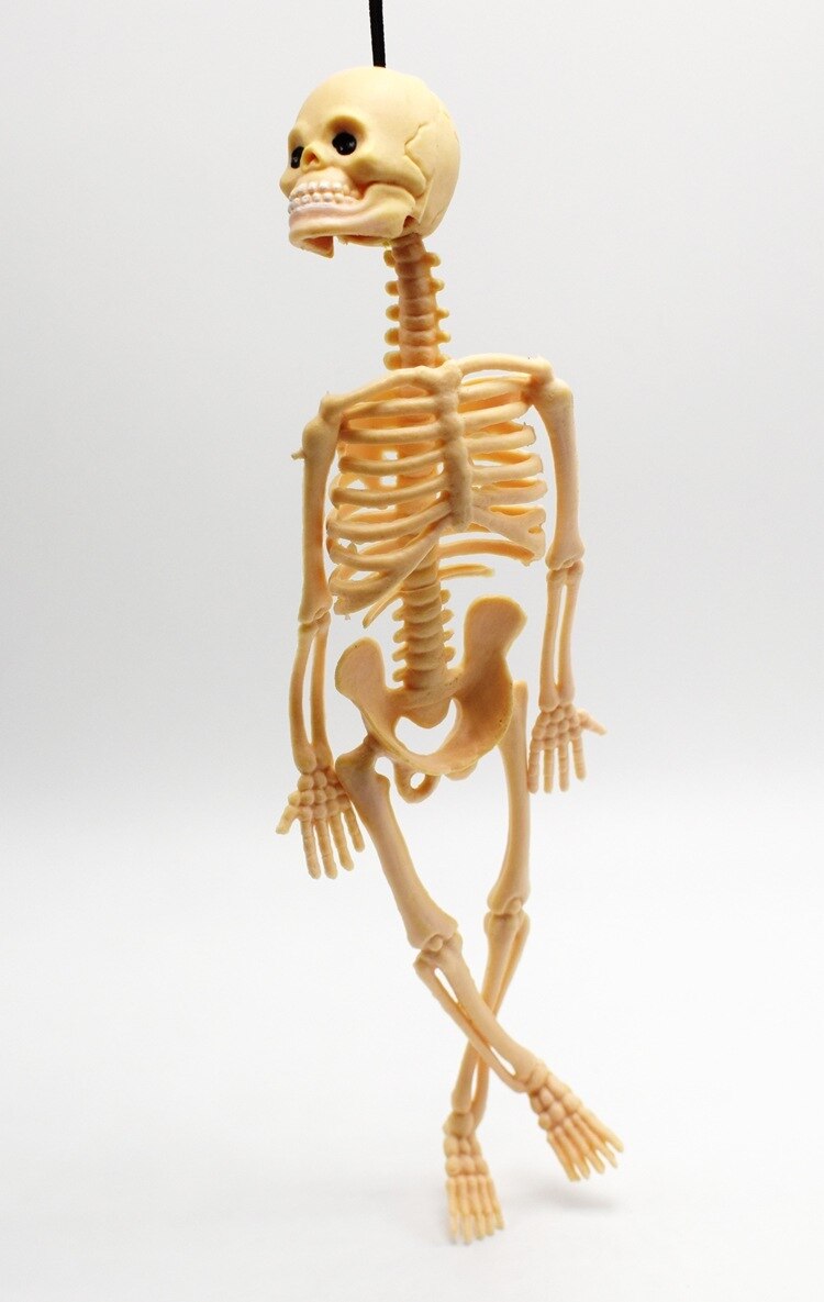 Neue Produkt Heikles Erschreckend Menschliches Skelett Körper Knochen Modell Kinder Streich Halloween Spielzeug: white