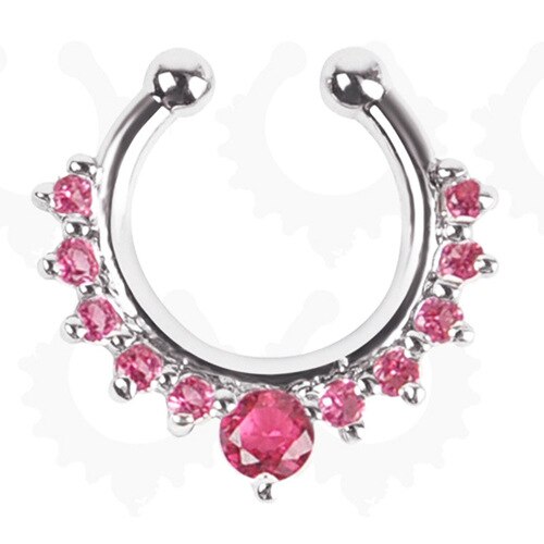 Legering Hoop Nose Ring Neus Piercing Nep Piercing Septum Clicker Nummers Hanger Voor Vrouwen Lichaam Sieraden