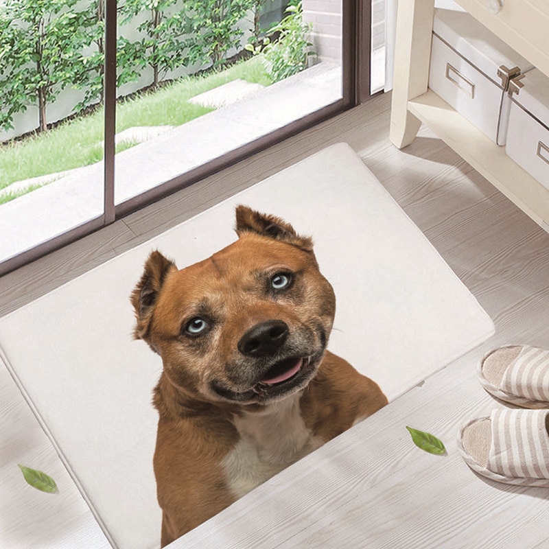 ¡Novedad! Felpudos para puerta de entrada, felpudos con bonito patrón de animales para perros, felpudos a prueba de polvo para sala de estar, decoración del hogar: 4