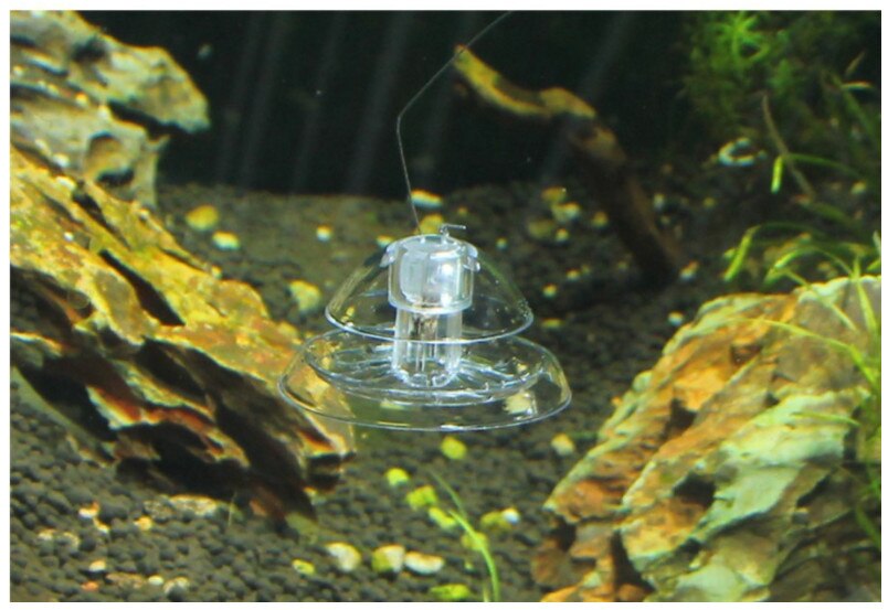 Home Fish Grass Tank Cleaning Tools Small Funny Snail Catch Equipment Aquarium Fish Plant Tank Plastic Snail Trap Catcher