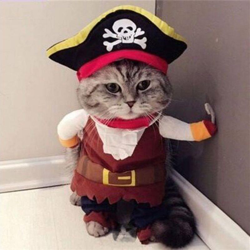 Sjovt kæledyrstøj cosplay pirat hund kat fest sød kostume tøjkomfort til lille mellemstor hund
