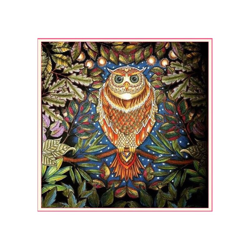 Libro de colorear en inglés de 24 páginas para niños y adultos, pintura de jardín misterioso para aliviar el estrés