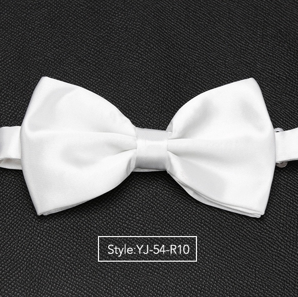 Herren Fliege Hochzeit Krawatten für Männer Frauen Solide Schmetterling Krawatte Krawatte Männlichen Kleid Hemd Zubehör Bowtie: YJ-54-R10