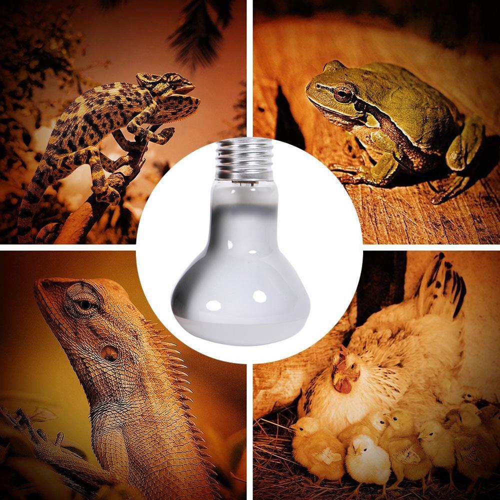 UVA UVB lampa gadów żarówka żółw wygrzewanie się światło ultrafioletowe żarówki temperatura światła lampy kontroler jaszczurki ogrzewanie żarówki płazy P9Q0