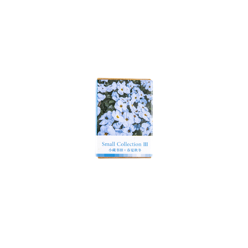 100 Stück Frühling Sommer Herbst Winter Kraftpapier Mini Grußkarte INS Blume Postkarte Brief Umschlag Dekoration LOMO Karten