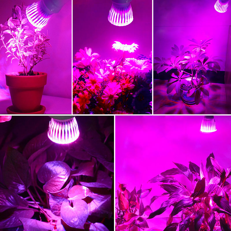 85-265V Led Grow Light Volledige Spectrum Groeien Lamp 6W 10W E27 Led-lampen Phyto Lampen voor Planten Zaden Bloem Groenten Hydrocultuur