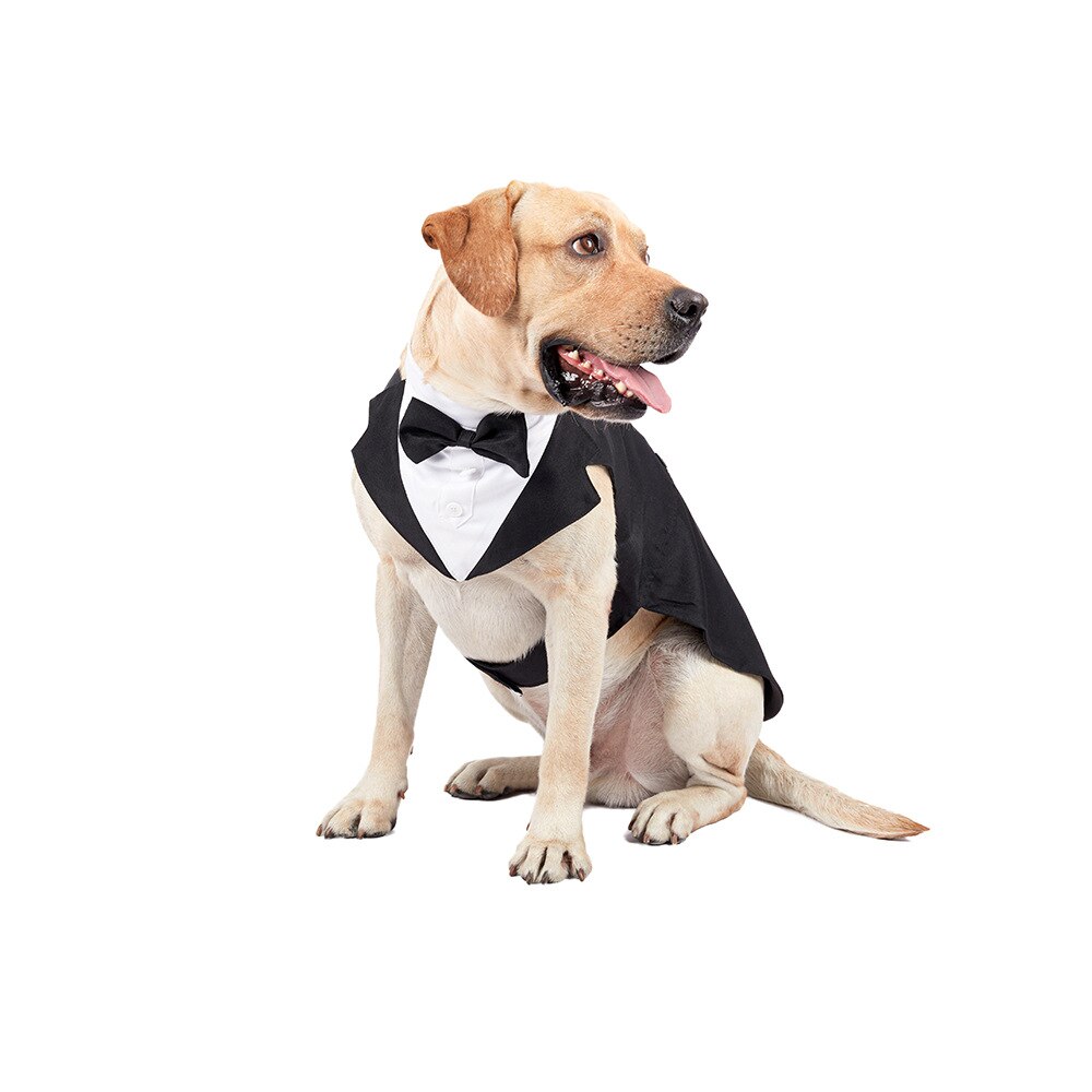 Smoking Pak Hond Shirt Puppy Pet Stijlvolle Pak Vlinderdas Kostuum Bruiloft Formele Smoking Pet Bow Tie Tuxedo Party Show bruiloft Pak
