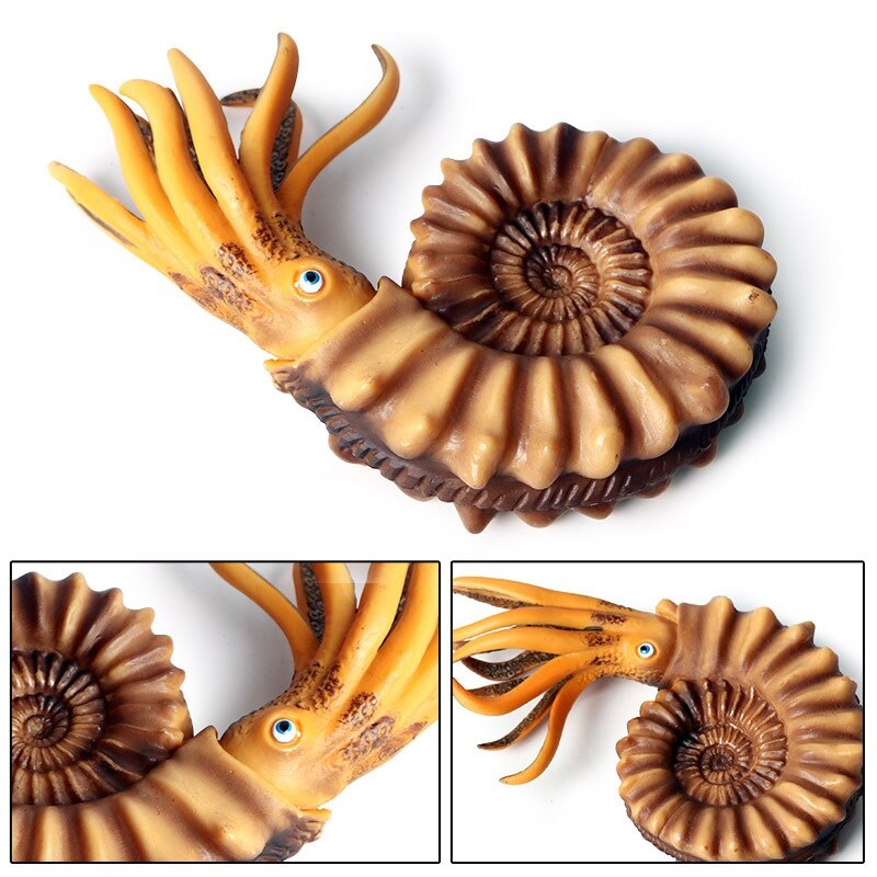 FBIL-Simulatie Mariene Leven Model Schelp Nautilus Shell Pop Decoratie