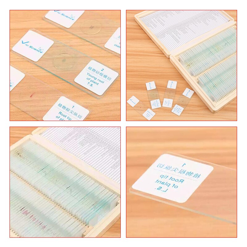 100Pcs/Set Prepared Microscope Glass Slides Sample Science Biological Specimen Education Cover Slips Portable Wood Storage Box