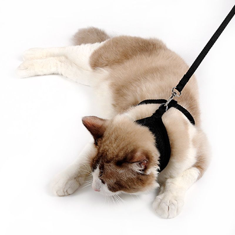 Katten ontsnappingsbestendig instapluchtvest harnas met riem, verstelbaar voor alle weersomstandigheden, zacht