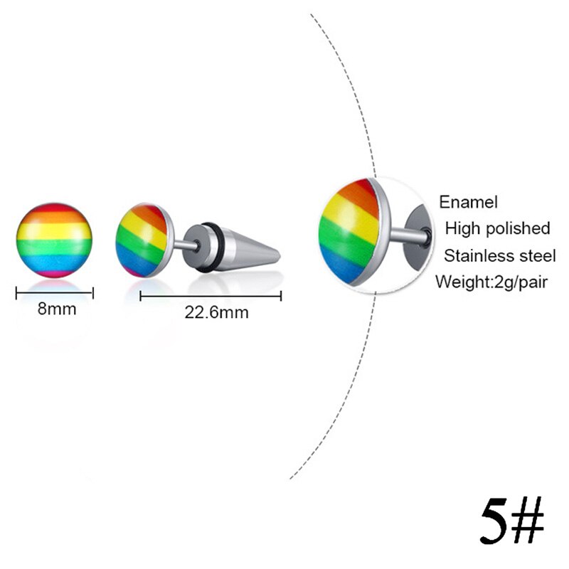 Lgbt Rainbow Rvs Oorbellen Lesbische Gay Pride Stud Oorbel Voor Mannen En Vrouwen (1 Paar): 5