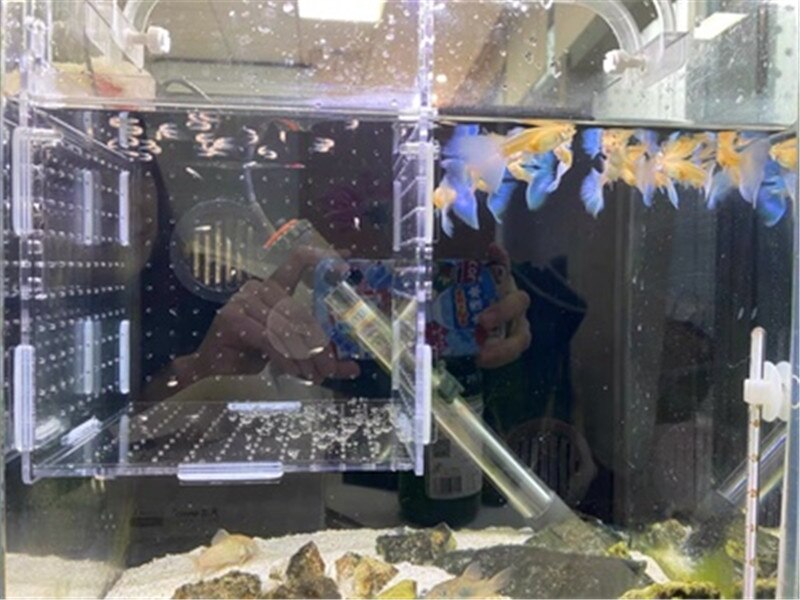 Caja de aislamiento para acuario, recipiente acrílico para incubar peces, 1 unidad