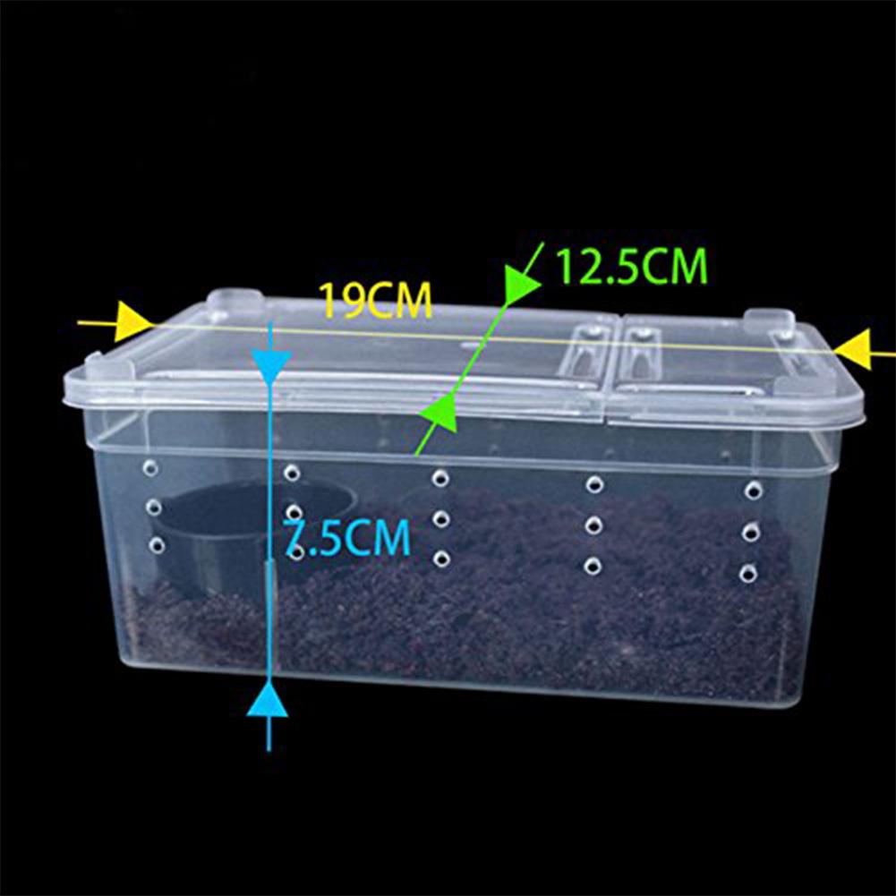 Reptilian Feeding Box Escape-proof Transparent Spider Horn Frog Turtle Snake Breeding Container: Yellow
