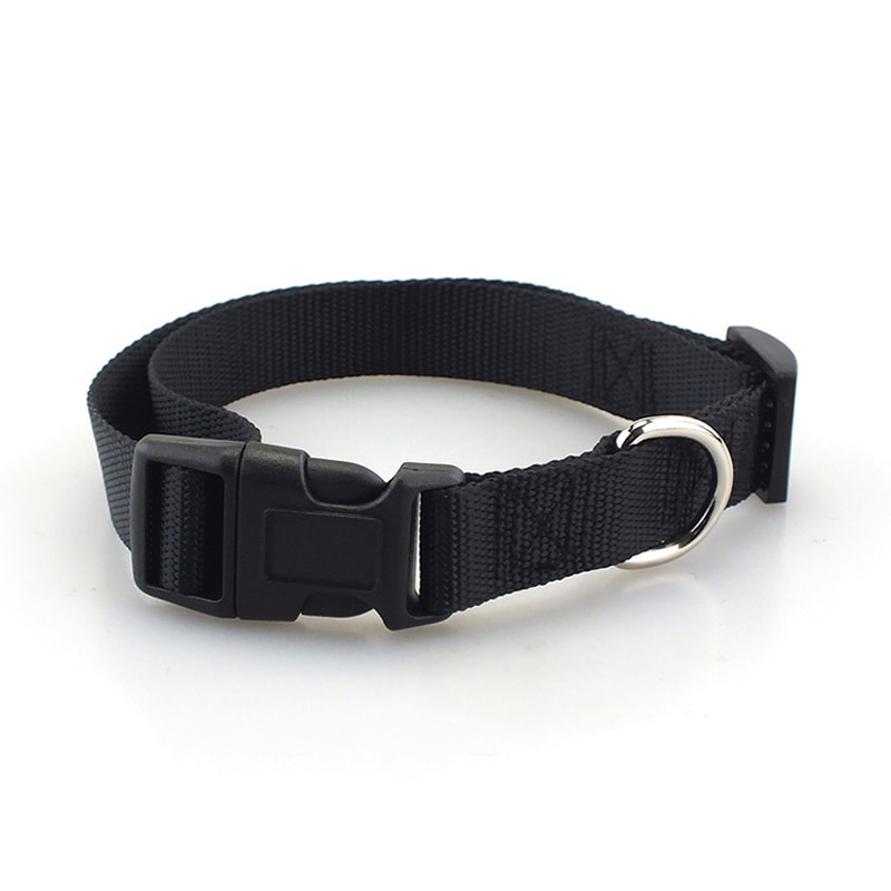 Klassiskt solid hundhalsband för hundar i nylon för små medelstora hundar kan matcha koppel och sele med snabbsnäppspänne