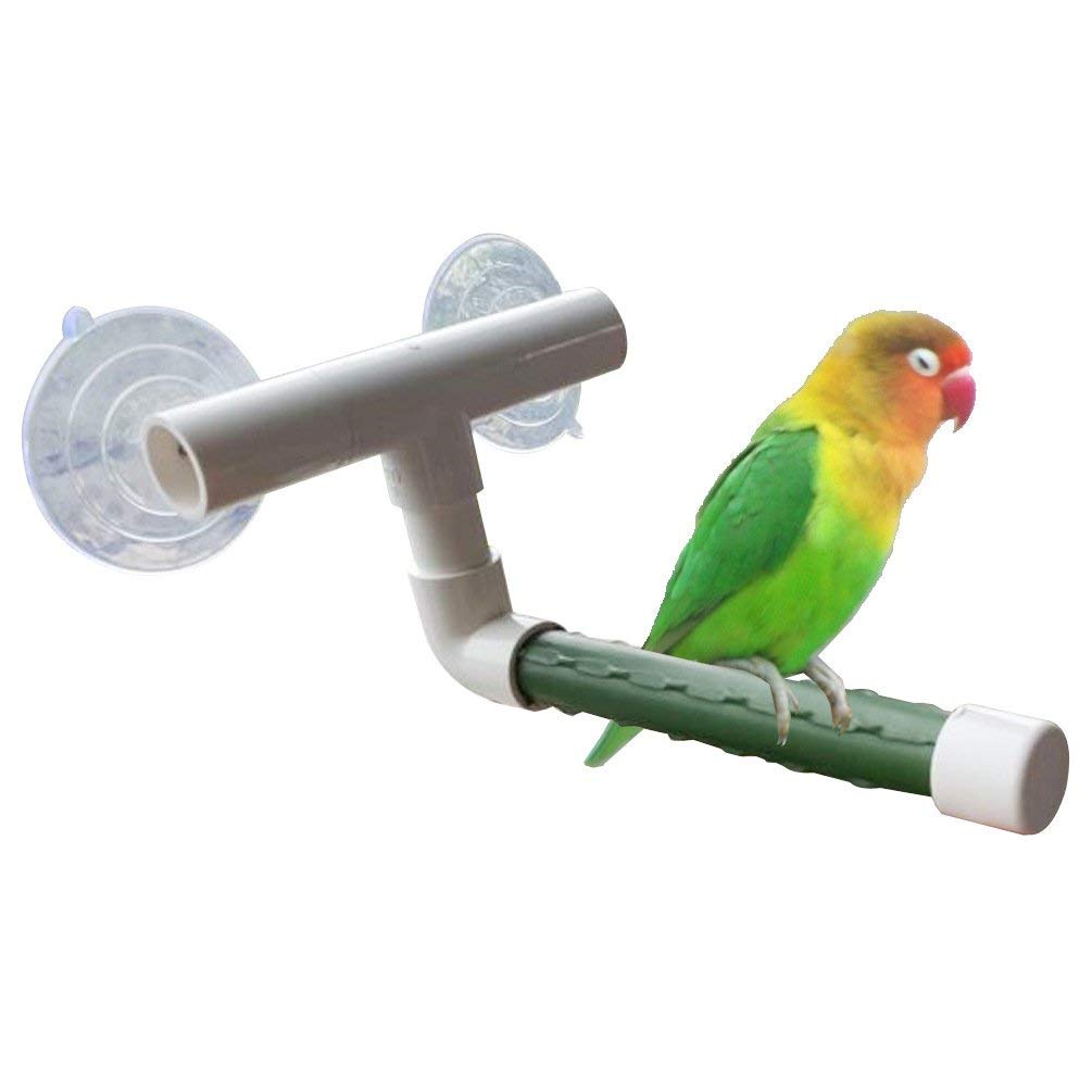 Vogel Dusche Tragbare Saugnapf Fenster Stehend Plattform für Papagei Ara Kakadu Wellensittiche Sittich Nymphensittich Conure Turteltauben: 2 Saugen Tassen-Grün