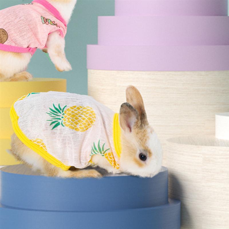 2Pcs Grappig Chic Cavia Kleding Huisdier Kleding Voor Thuis Outdoor