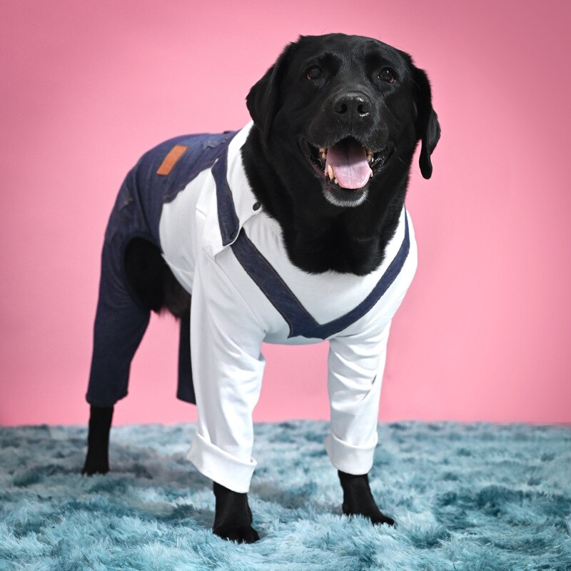 Pyjama en denim pour grand chien, vêtement en denim, une pièce, belle et cool, manteau à quatre pattes, pour jouer, automne/hiver: WHITE / 11