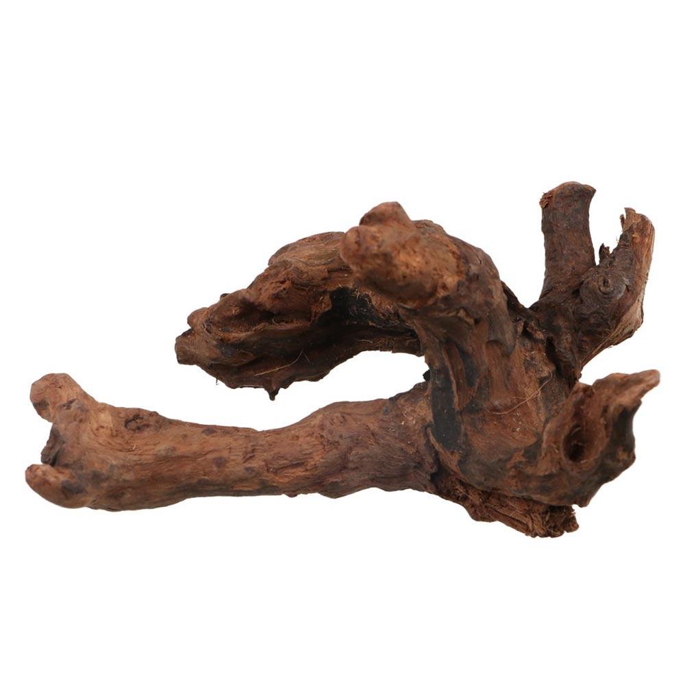 Irregular Shape Coral Wood Natural Wood Aquatic Plants Fish Tank Decoration for Aquarium