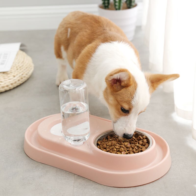 Automatische voerbak voor huisdieren, drinkbak voor honden en katten, grote capaciteit dispenser voor katten en katten
