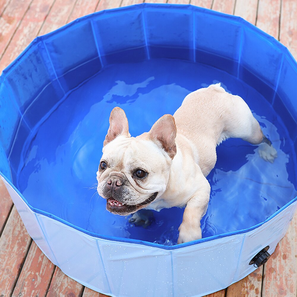 Pvc foldbar kæledyr hund kat svømning kæledyr bad svømning badekar til hund kat svømmebassiner kæledyr tilbehør