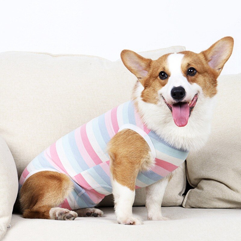 Traje de cuatro Mono para mascotas, ropa para perros, recuperación de operación, Anti lamer heridas después de la cirugía
