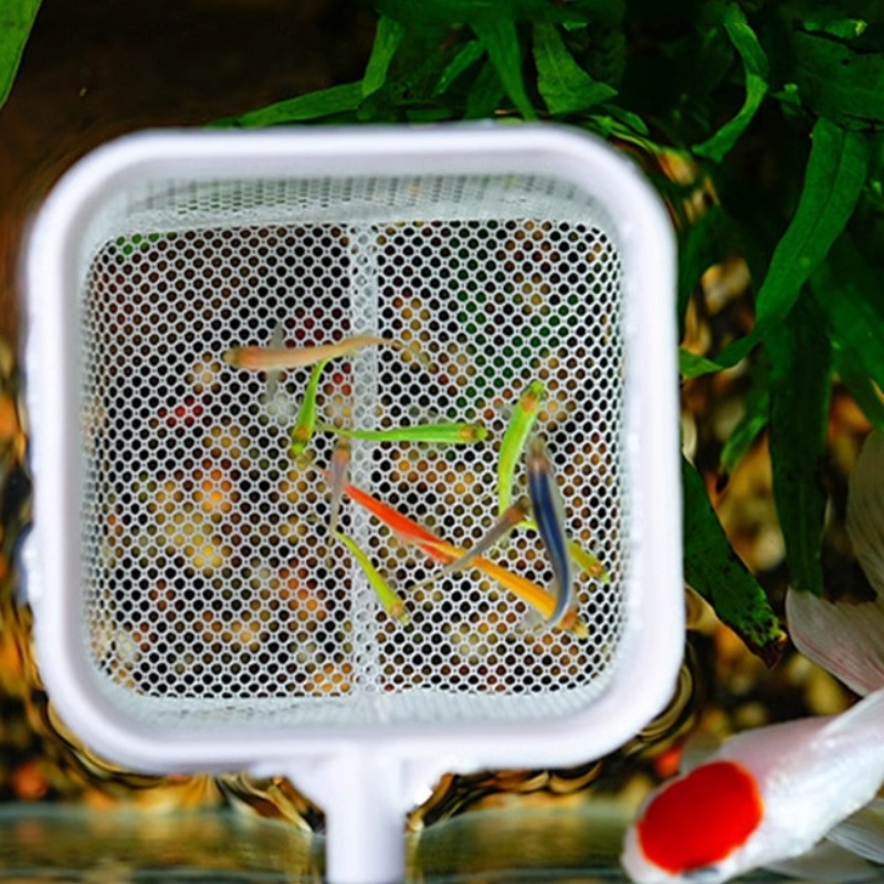 Fishing Landing Net Extendable Telescopic Fish Shrimp Skimming Net Stainless Steel Handle Fish Net for Aquarium Fish Tank