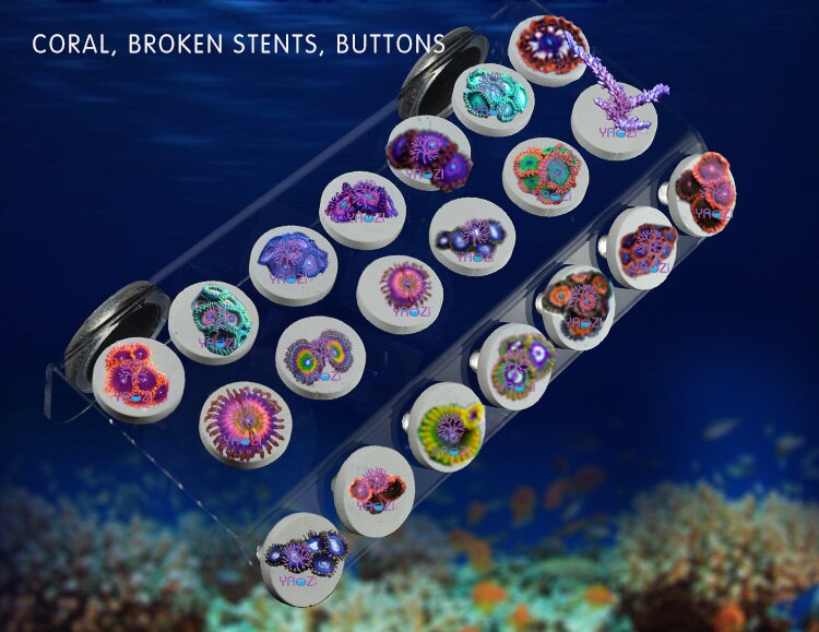 SPS phyto plus coral frag rack stand bracket mini nano strong magnet fix aquarium fish reef tank inclined plane