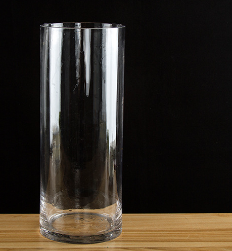 Simplicity Transparent Clear Tabletop Tall Glass Vase Bottle Terrarium Hydroponic Container Pot Flower Home Wedding Decor: 25x12cm